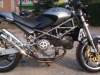 Ducati Monster Opal