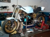 Ducati MOnster Goldeneye