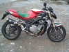 MV Brutale Italia