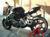 MB Brutale Wolf