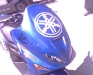 tn_img0283a