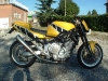 Yamaha TRX Yellowthunder